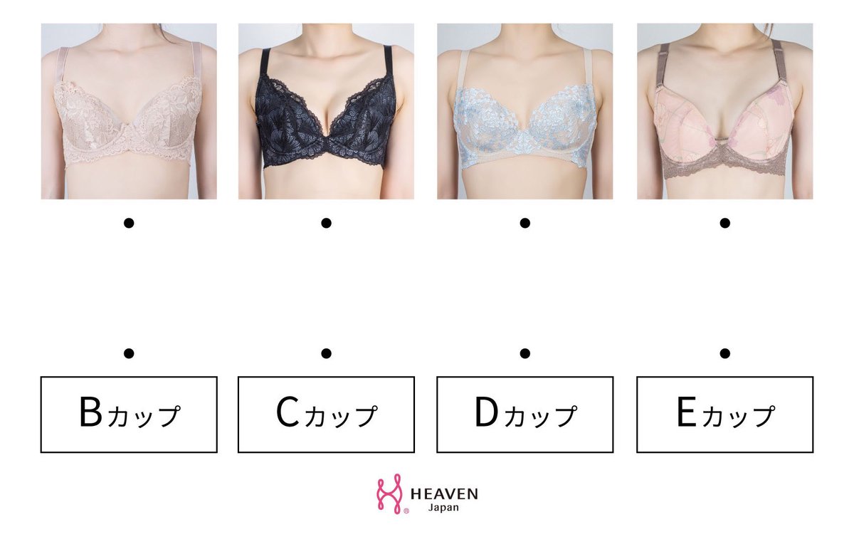 胸 の 大き さ カップ