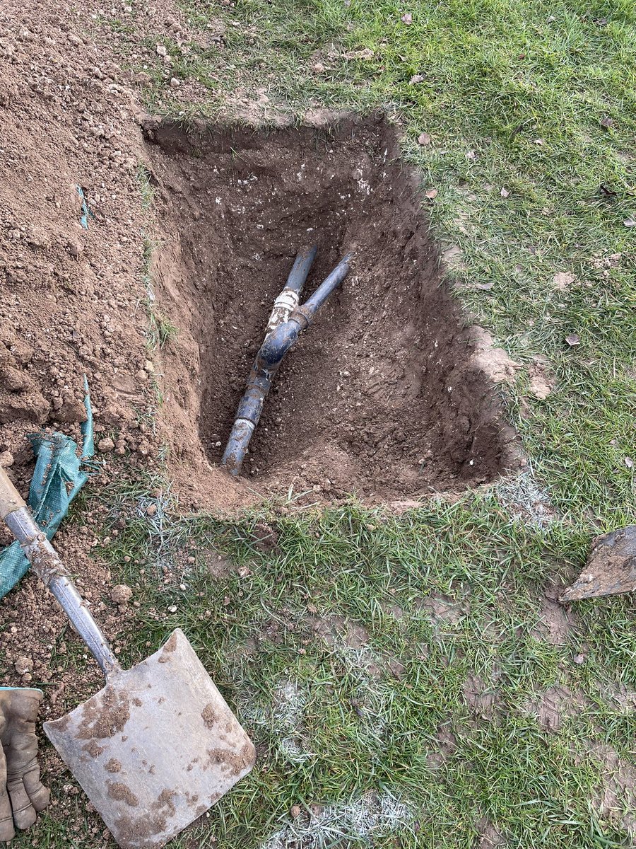 davidhurst tweet media