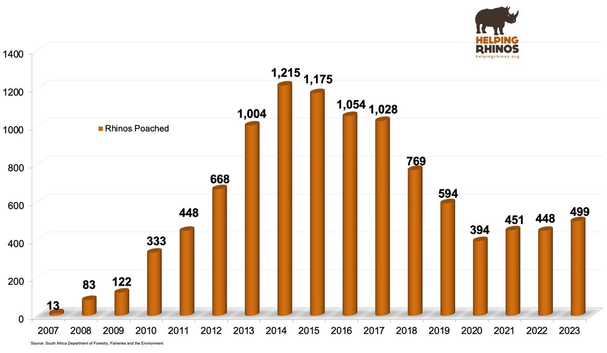 A deeper breakdown shows that 406 were killed on state properties, with 93 lost on privately owned reserves, highlighting once again how important South Africa’s private rhino custodians are. (2/3)