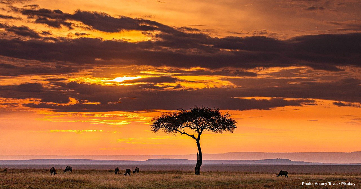 🤝 #UNEA6 is an opportunity to strengthen collaboration further as we tackle the triple planetary crisis of #ClimateChange, biodiversity loss and pollution. See IUCN’s events here: bit.ly/3OOnlUH