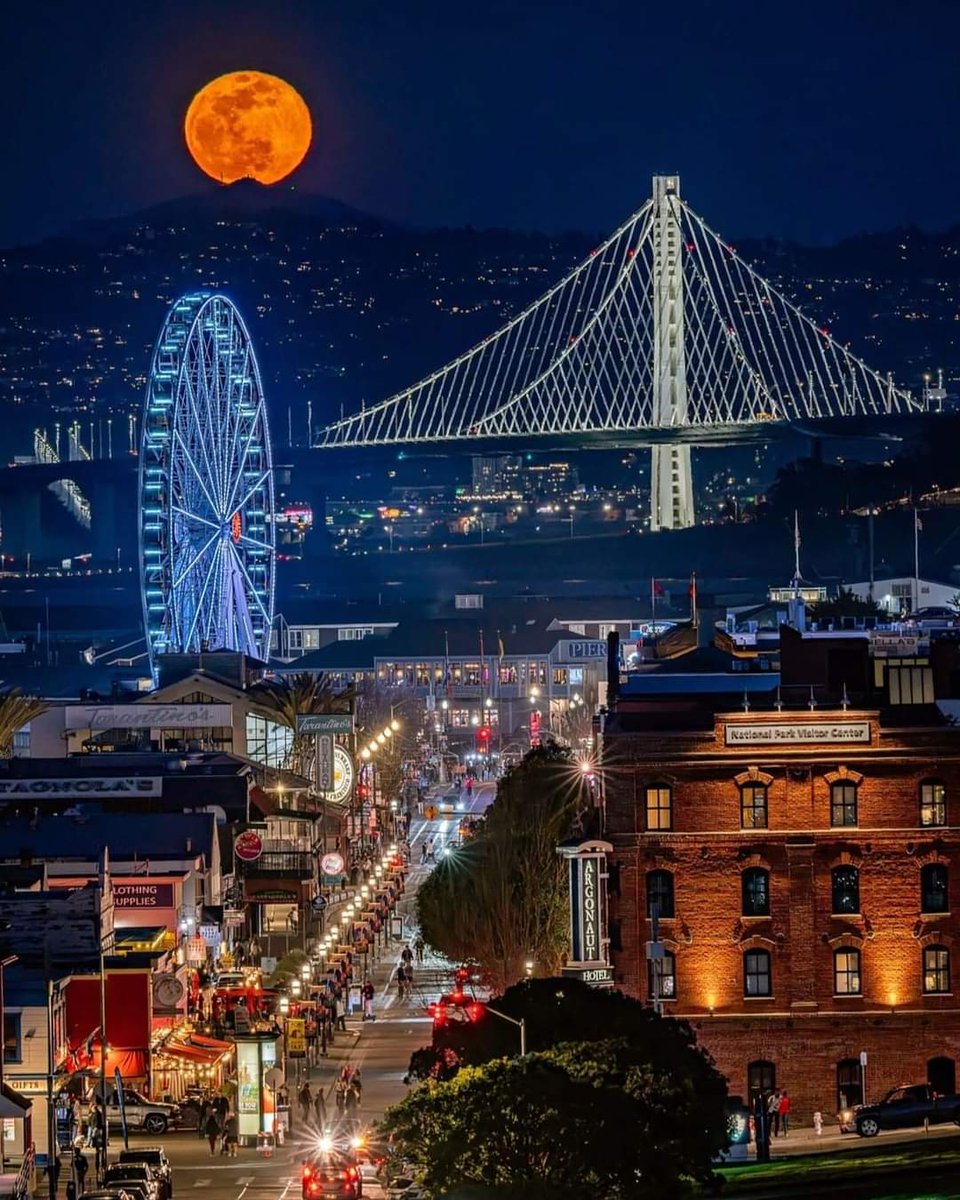 Streets Of San Francisco 

📸 @perplexion

#streetsofsf #sanfrancisco #mysanfrancisco #sf_insta  #bestofbayarea #wildbayarea #alwayssf #nowrongwaysf #NightPhotography