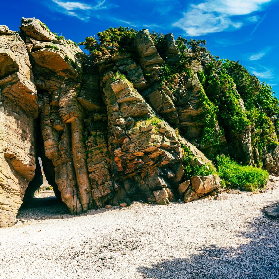 Galloway NPA tweet media