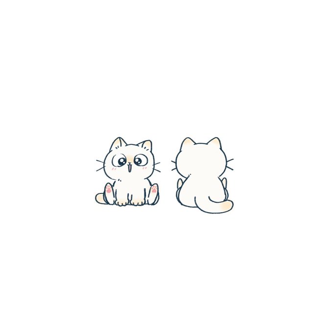 「動物 白い猫」のTwitter画像/イラスト(新着)｜5ページ目