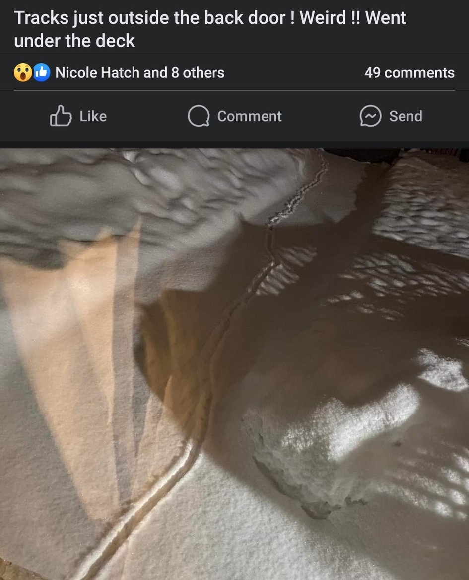 Spotted in Pearl. It's rather an animal or the world's smallest snowblower. - CCJ #nltraffic #nlwx