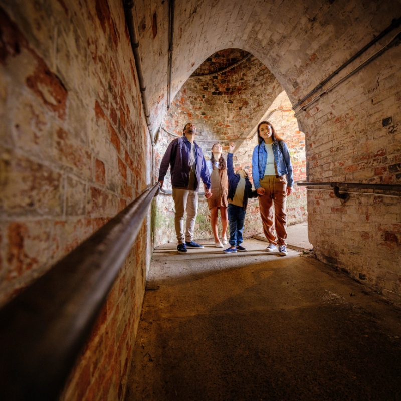 Want to see another side to #Kent on your next short break? From nature's bounty to escape rooms in a castle, take your pick... bit.ly/42G8st8 Pictured: @CastleFarmKent & @EHdovercastle