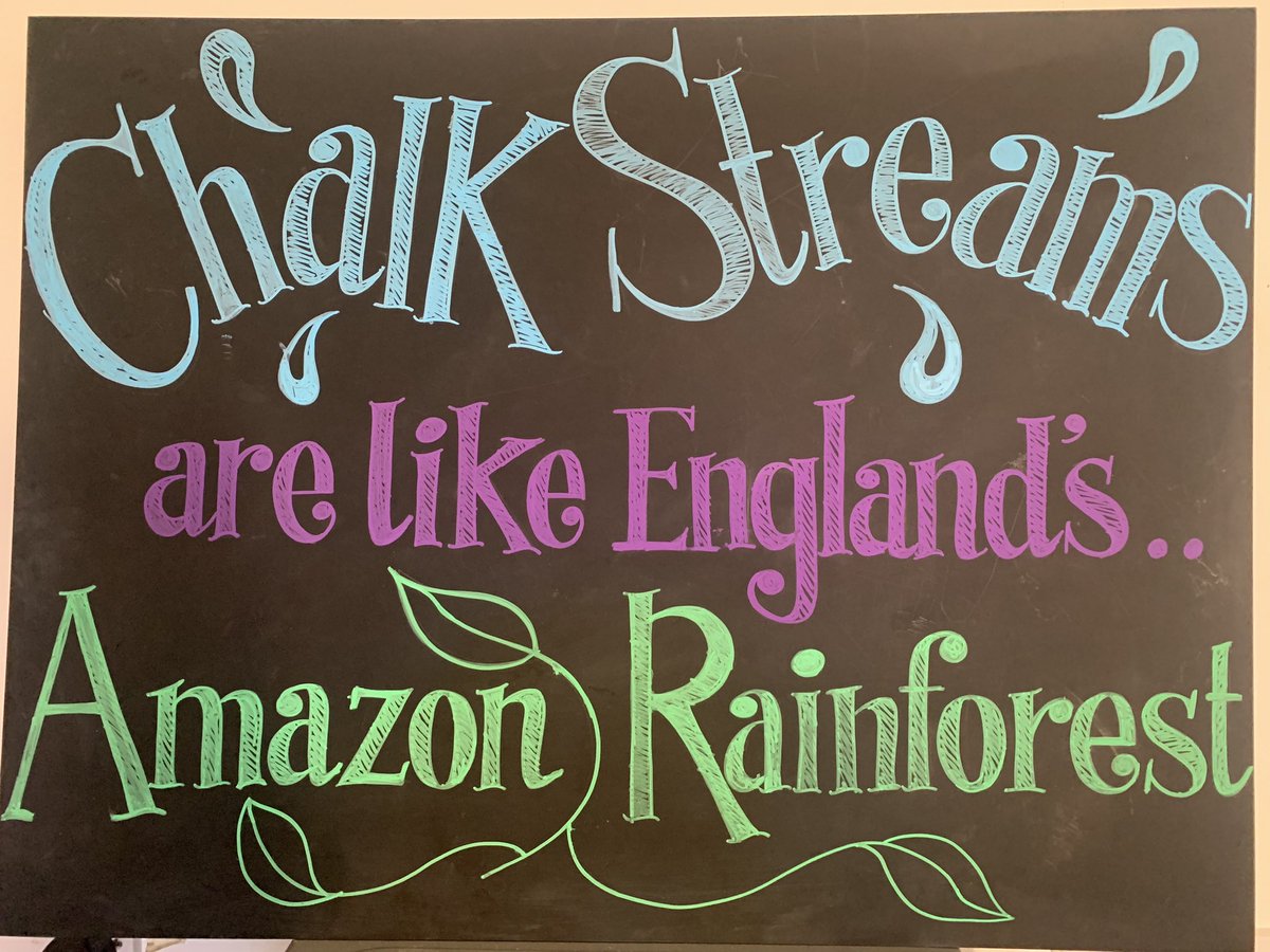 Penny Sobr Illustration & Creative Art Workshops tweet media