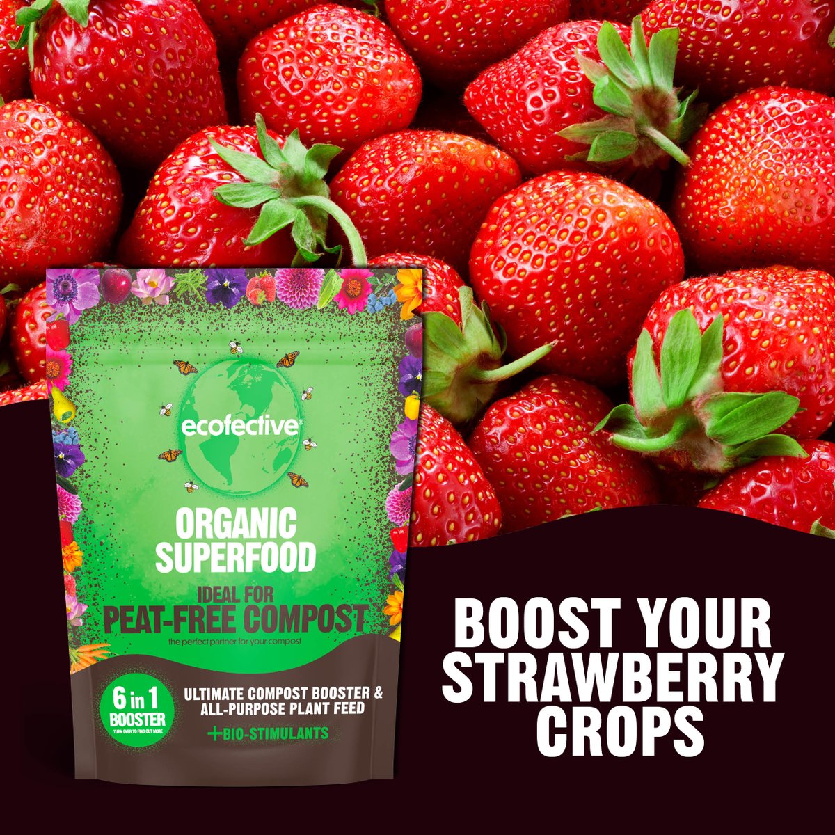 🍓Are you growing strawberries this year in peat-free compost? 
📈Make your crop yield double with Organic Superfood Ideal for Peat-Free Compost.
 🔍Find a stockist on our website to boost your strawberry crop this year! ➡️ loom.ly/TUydV4U