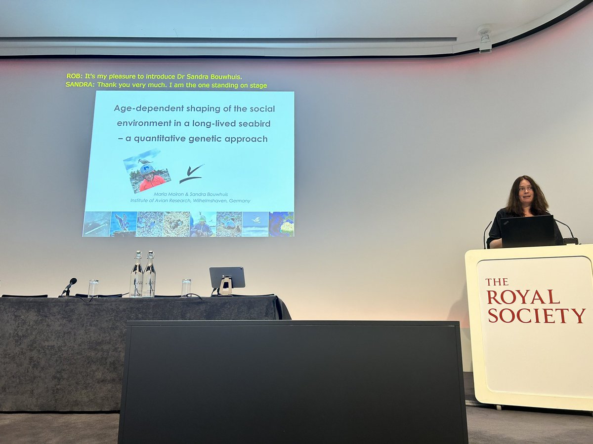 Josh Firth tweet media