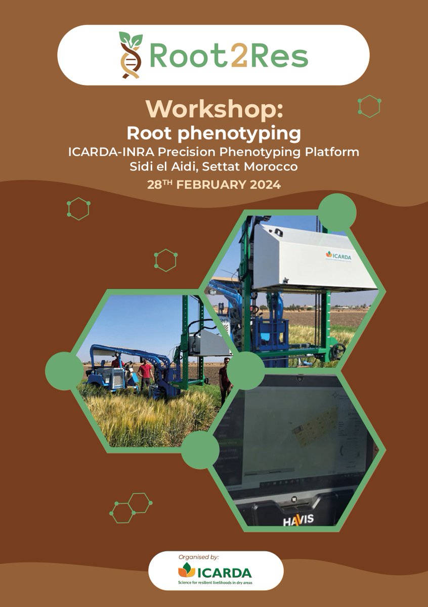 Join Root2Res in Sidi el Aidi, Morocco, on Feb 28th hosted at @ICARDA 's hub, for innovative root trait assessment techniques. The Phenotyping Toolbox, with Arvalis, ADAS, ICARDA, and KIS, ensures swift evaluation in diverse agroclimates! 📎: shorturl.at/jzK17