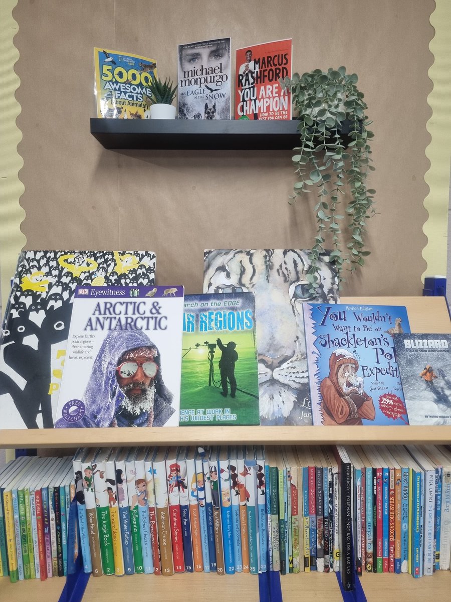 Miss Tuplin Y6 tweet media