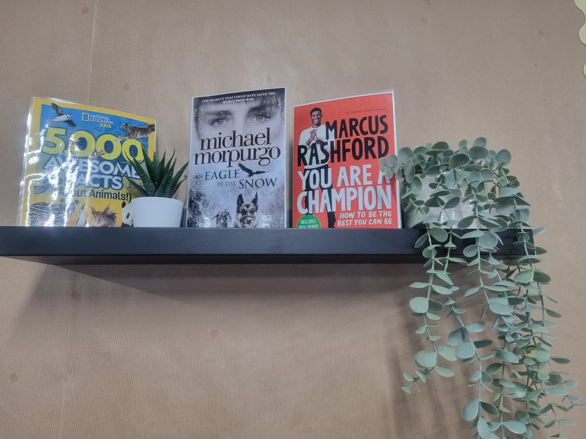 Miss Tuplin Y6 tweet media