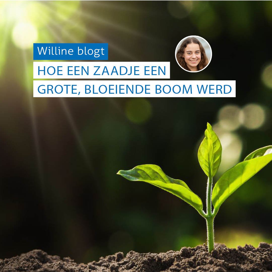 'Hij triggerde me al vanaf het begin. Nog voordat ik zelfs was begonnen in deze stageklas.'

Benieuwd naar het verhaal van Willine? Lees de blog via bit.ly/3IgQJ20

#onderwijs #pabo #leerkracht #basisonderwijs #driestar #hogeschool #gouda