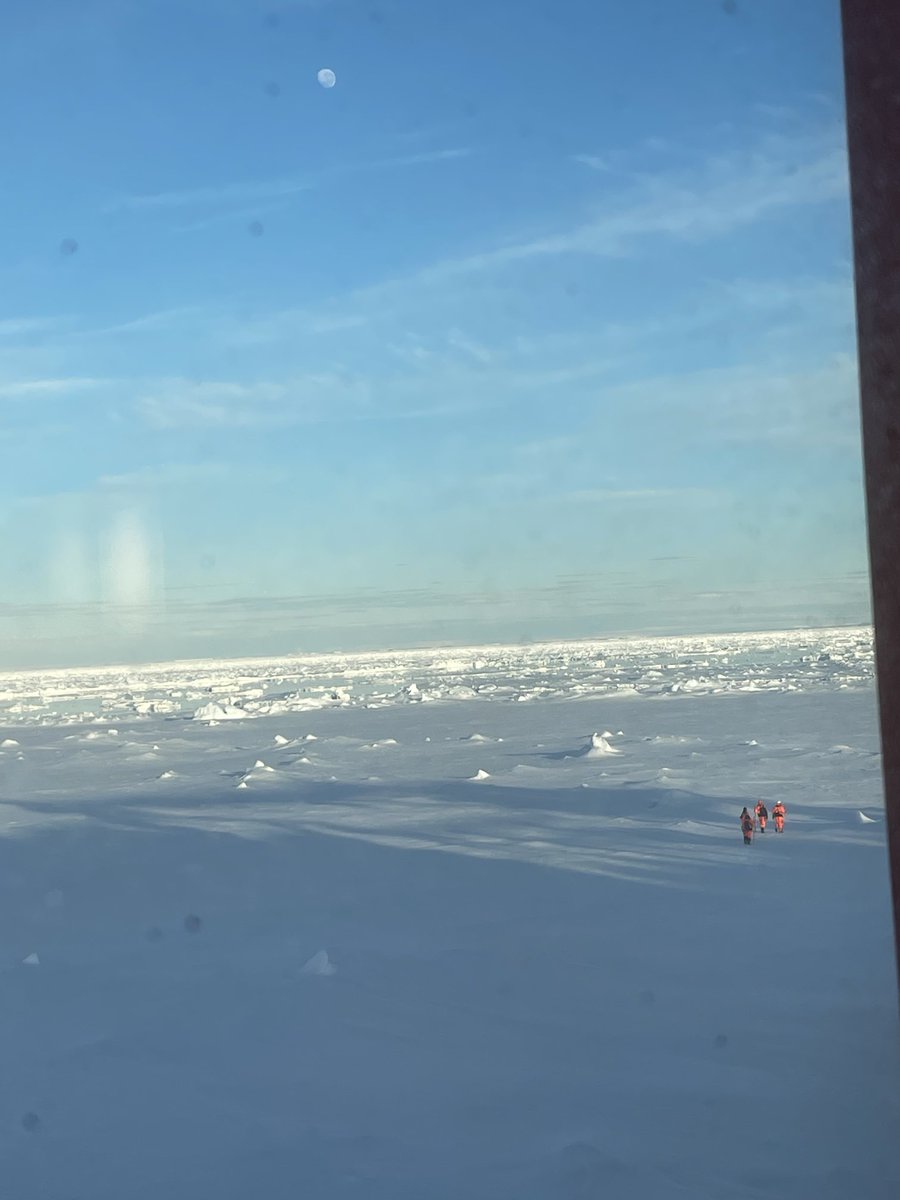 Carol Robinson tweet media