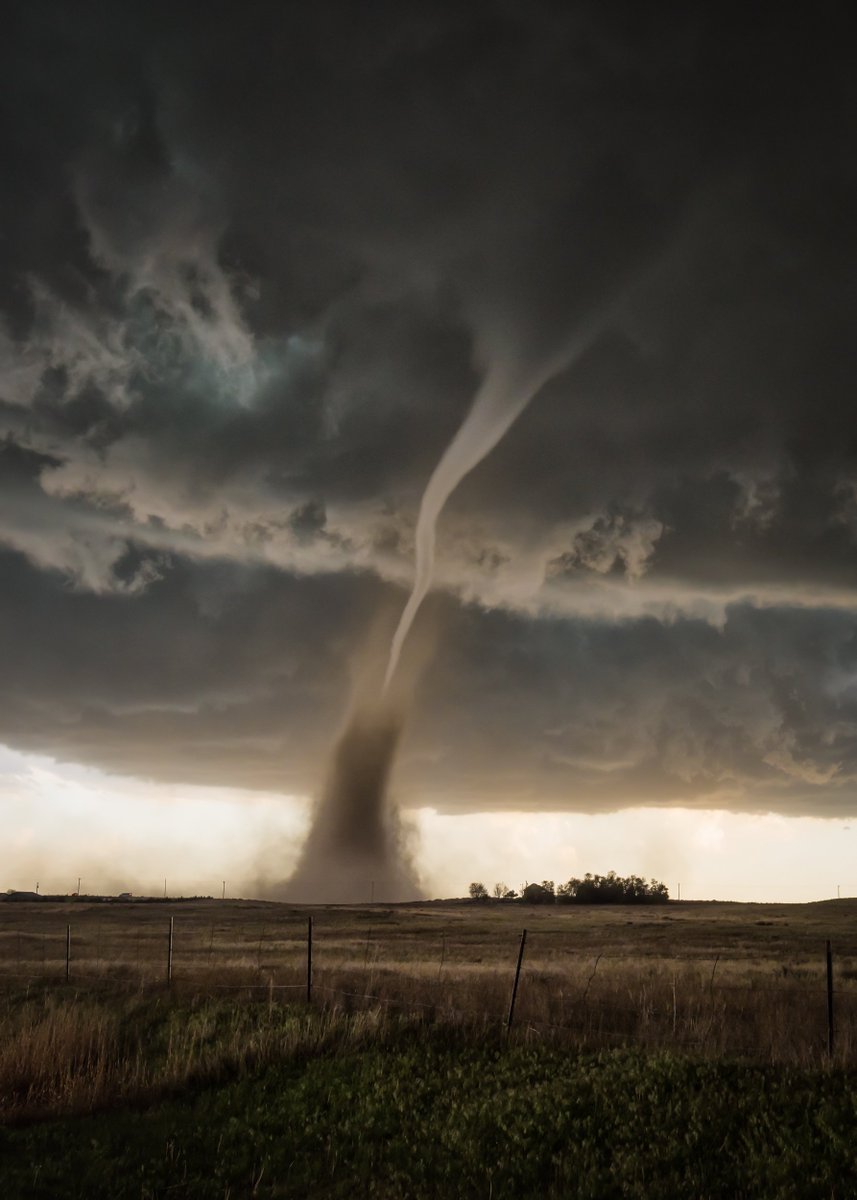 #TornadoTuesday  

The Wray #Colorado #tornado back in May 2016 by <a href="/SKesedakis/">stavros kesedakis</a>  

#wxtwitter #cowx <a href="/StormFreaksArt/">⚡ StormFreaks</a> <a href="/CloudAppSoc/">Cloud Appreciation Society</a> <a href="/StormHour/">#StormHour</a> <a href="/spann/">James Spann</a> <a href="/JimCantore/">Jim Cantore</a> <a href="/KeraunosObs/">Keraunos</a> <a href="/ThePhotoHour/">#ThePhotoHour</a> <a href="/MikeOlbinski/">Mike Olbinski</a> <a href="/USWeatherExpert/">Mike Smith</a>