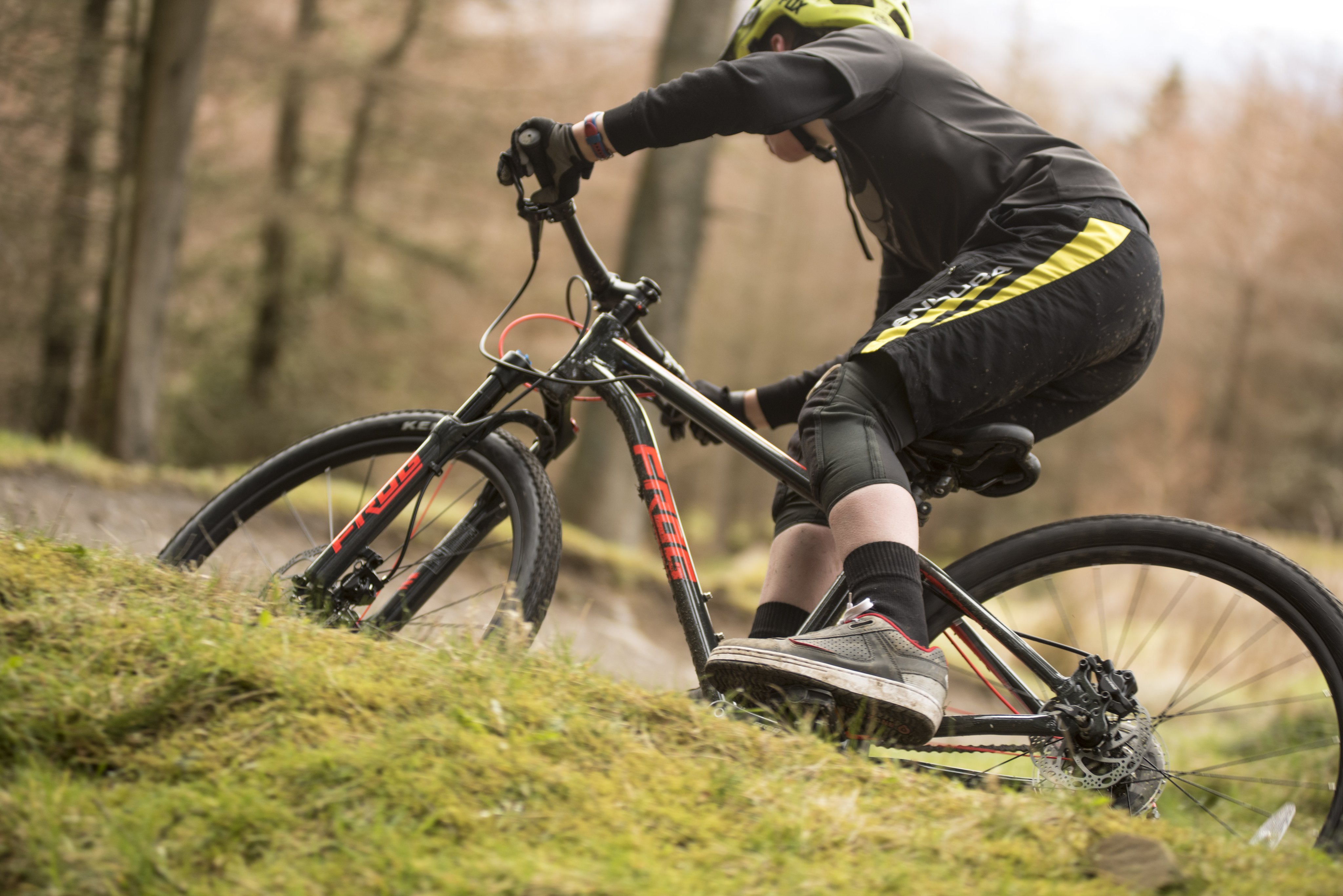 Frog bikes mtb 69 new arrivals