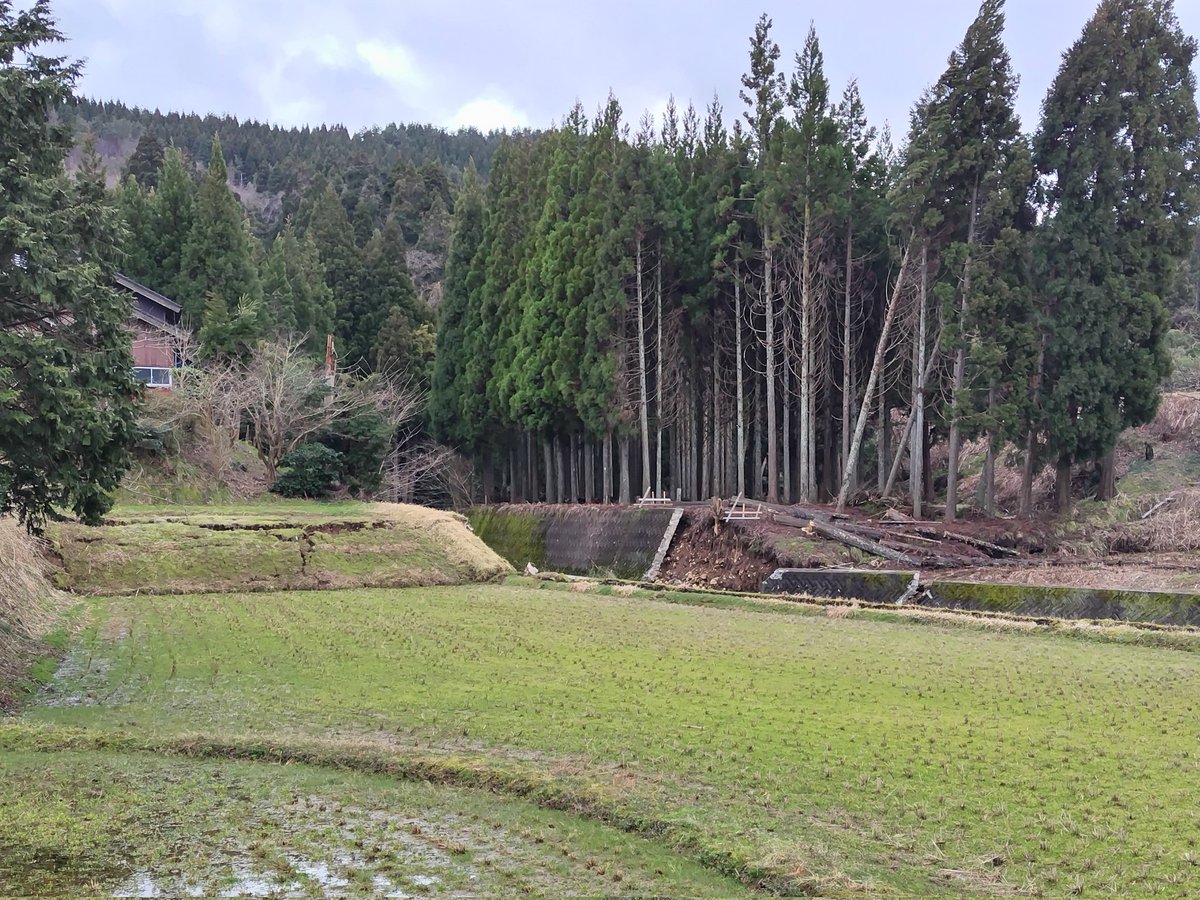 若山町
激しい地震動で地表が隆起し、大きな段差が出来た現場
上と下の田んぼが元々一枚だったとは信じがたい😨
#珠洲市
#がんばろう能登