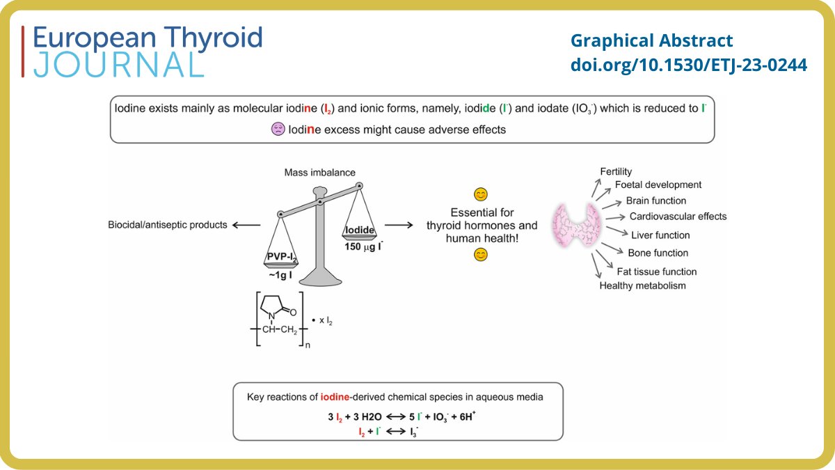 📢 New statement from @ETA_Thyroid and @ESEndocrinology on the European Chemicals Agency opinion on #iodine as an endocrine disruptor by Rodrigo Moreno-Reyes et al. Read it here 👉 ow.ly/riOV50QHMRv