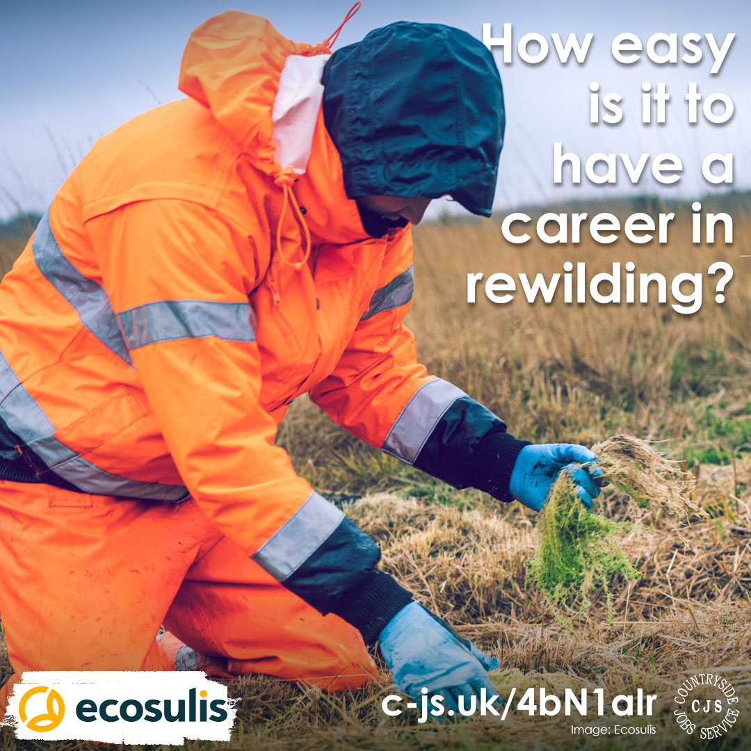 How easy is it to have a career in rewilding? According to @Ecosulis the journey is not as difficult as graduates think! They understand how daunting it can be to enter a new industry & fight against the pressure to feel ‘worthy’ regardless of experience. c-js.uk/4bN1aIr