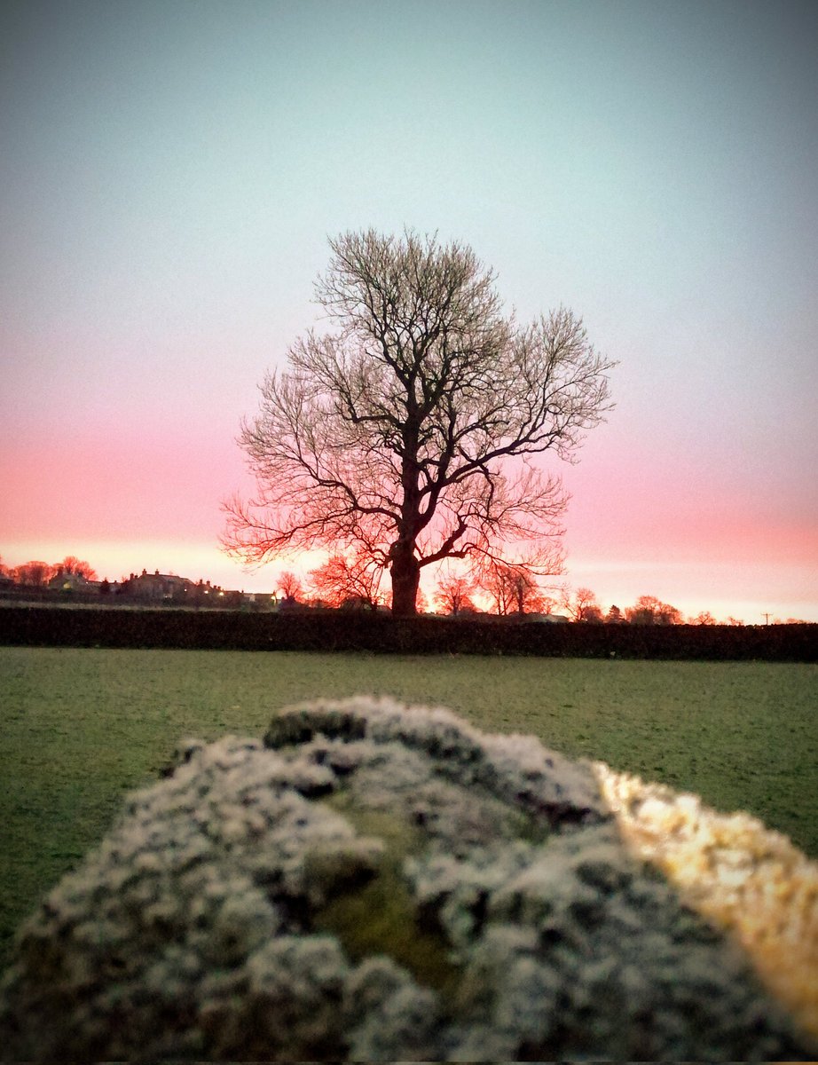 Mary Wilkinson tweet media