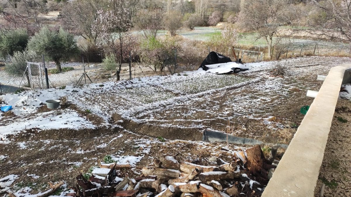 AEMET_Murcia's tweet photo. Durante las últimas horas han continuado las precipitaciones débiles en forma de nieve en pedanías altas de la Comarca del Noroeste de la #RegiondeMurcia, cubriendo el suelo en #Inazares y en #CañadadelaCruz alrededor de los 1.500 metros de altitud en el municipio de #Moratalla https://t.co/xgQ4HjTaA4