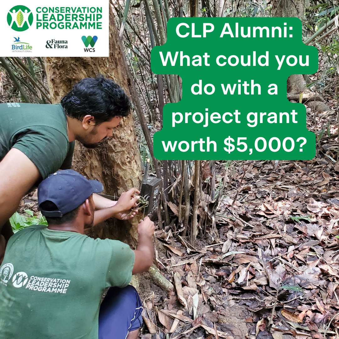 📢 Applications for the 2024 Kate Stokes Memorial Award are now open! 💰Up to US$5,000 ⏰Apply by 23:59 (UK time) 26 April 2024 🧑‍🎓This grant is only open to members of the CLP alumni network Apply here: conservationleadershipprogramme.org/grants/grant-o… #WeAreCLP #Conservation #Grants
