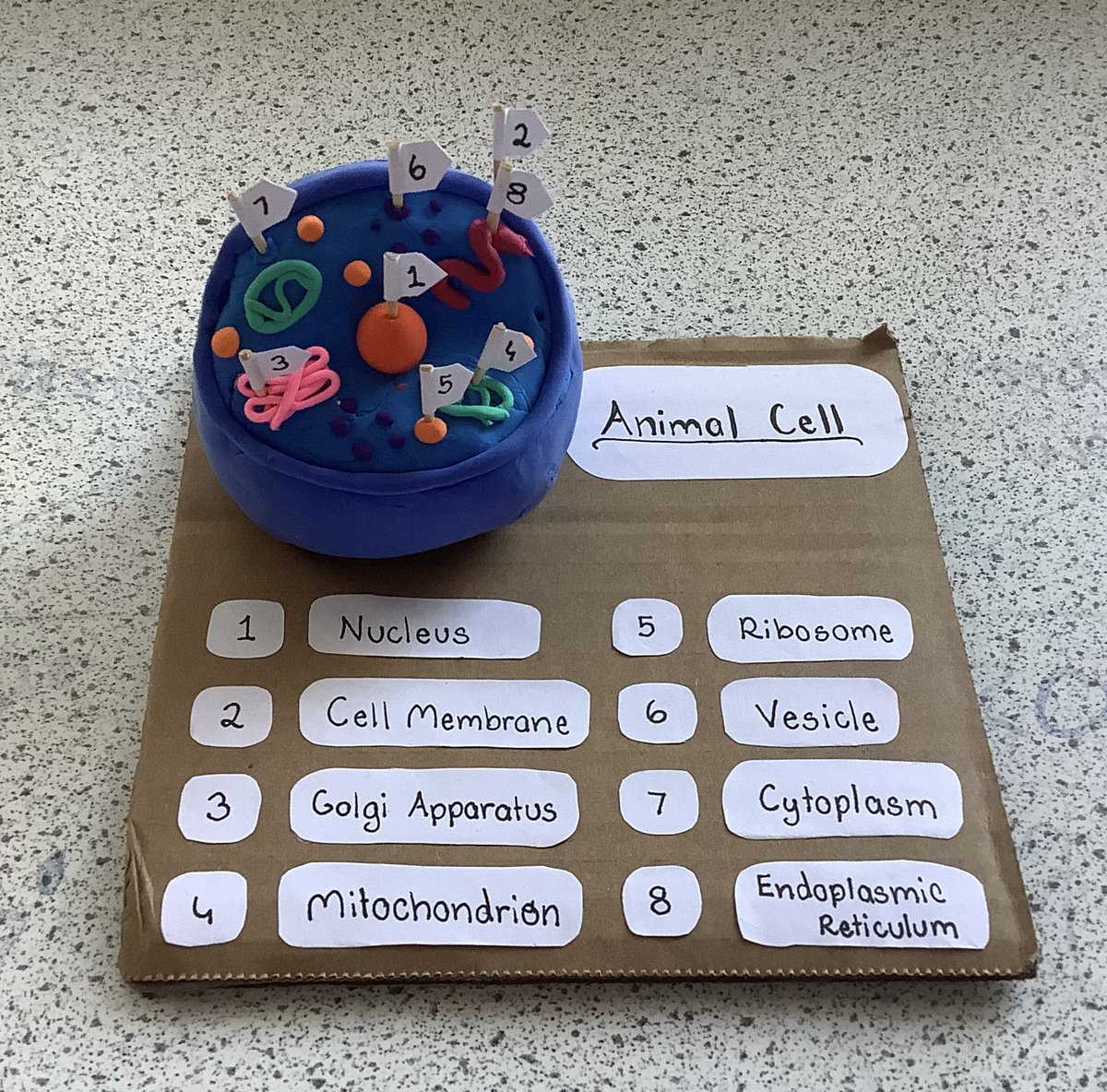Mrs_Dryburgh's tweet photo. S2 did a fantastic job of creating 3D cell structure models. It's my favourite piece of homework to set and I'm blown away by the creativity every year 🌟 @LHS_Science_ @S2LHSYT @LarbertHigh https://t.co/Hdd9AnJW1F