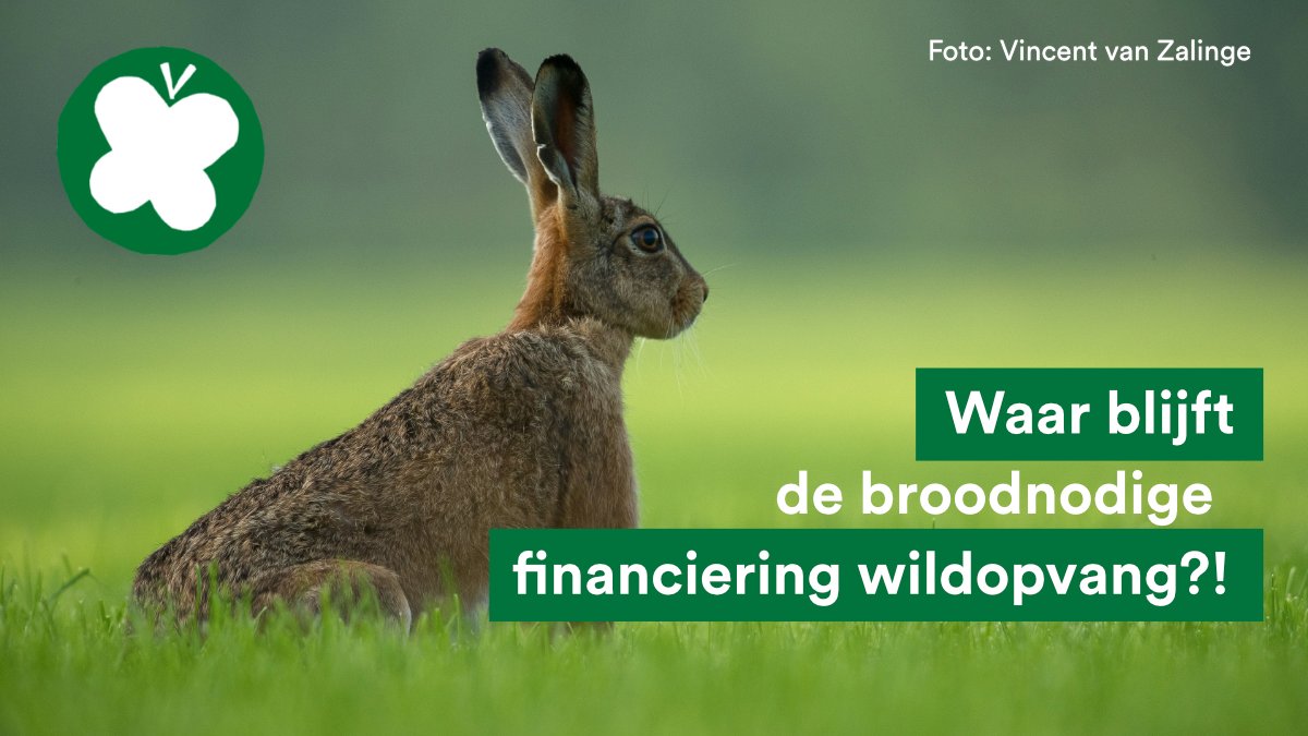 🆘Wildopvangcentra in nood!

We dringen al tijden bij <a href="/provincieNH/">Noord-Holland</a> aan op structurele financiering voor de zorg voor wilde dieren🦔🦢

Wildopvangcentra, experts en gemeenten zeggen dat dit noodzakelijk is.

⁉️ Waar blijft de actie?👉🏾 bit.ly/financiering-w…

#TeamPlanet 🌏