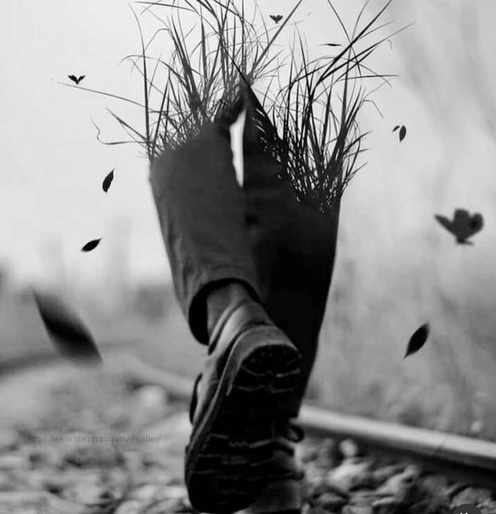 "Yarısı Kirli Suyla Dolu Bir Kovayı Temizlemenin 2 Yolu Vardır…!
Ya Musluğun Altına Koyarsın, Açarsın Musluğu Pis Suyu Taşırır; Sonra Yavaş Yavaş Temizler…

Ya Da Kovaya Bi Tekme Atar Devirirsin, Pis Su Boşalır Yerine Temiz Suyu Doldurursun…

Bizim Kova TEKMELİK Oldu USTAA..!