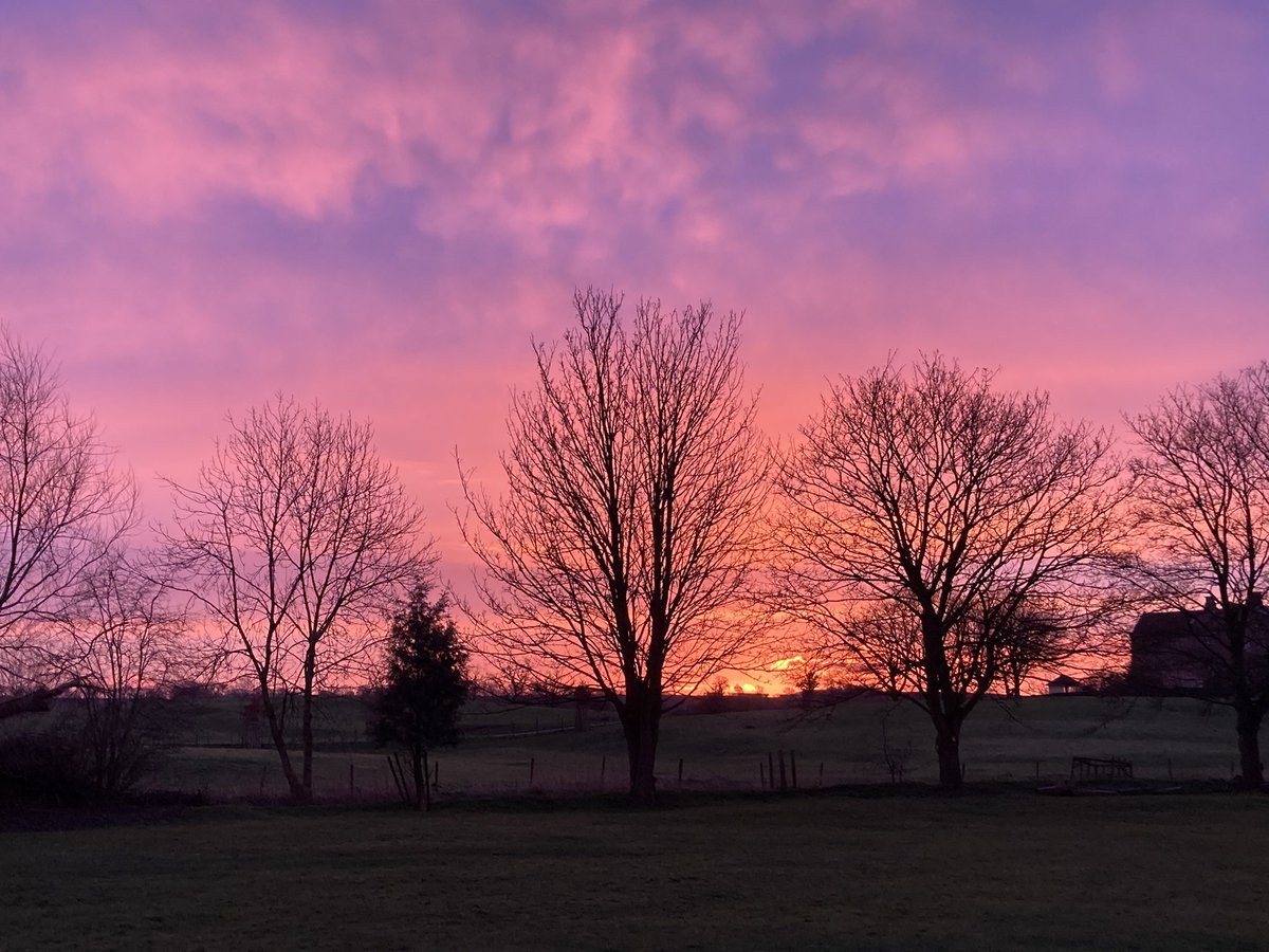 hambletonwomble's tweet photo. Beautiful sunrise in North Yorks. It’s a day for a special journey @KeepBritainTidy https://t.co/G45ck2OyVV