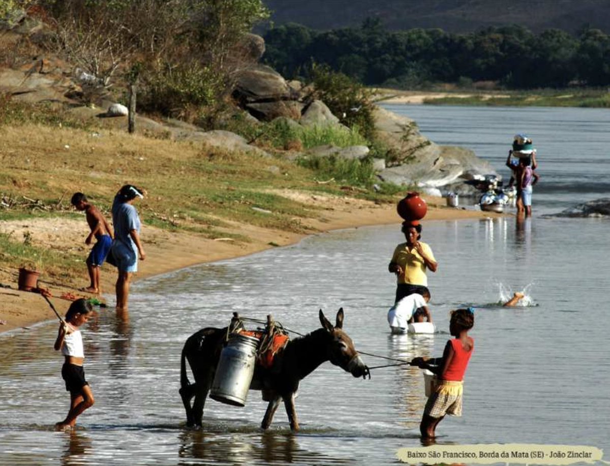 A beleza da mostra “Riqueza presente, herança futura: o vai e vem do Velho Chico entre a Caatinga e o Cerrado”, realizada na Câmara dos Deputados em 2023, foi tema de reportagem do jornalista <a href="/rafaelciscati/">Rafael Ciscati</a>  para o site Brasil de Direitos bit.ly/3wugRnA