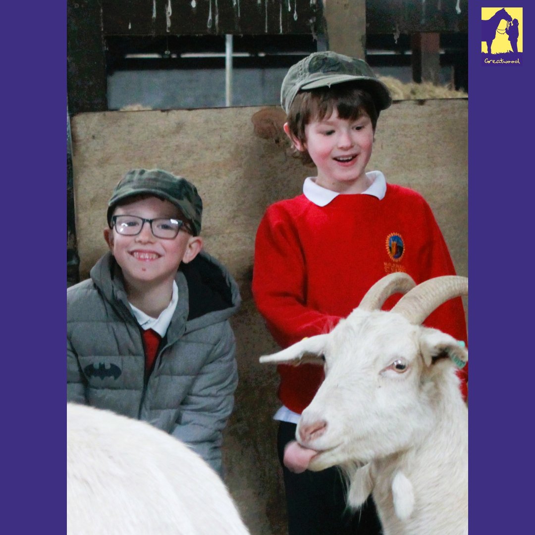 Enzo the goat is definitely embracing #toungeouttuesday For more information on the Animal Assisted Intervention educational programmes we have available this academic year: 📷 01672 514535 📷 info@greatwoodcharity.org 📷 greatwoodcharity.org