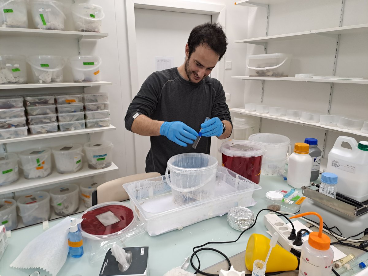 Our Lab team get involved in many amazing relocations. They have just come back from Switzerland carefully transporting some very important, tiny travellers! Read more about the move... harrowgreen.com/information/ne… #lifescienceindustry #specialistrelocations #cambridge #switzerland