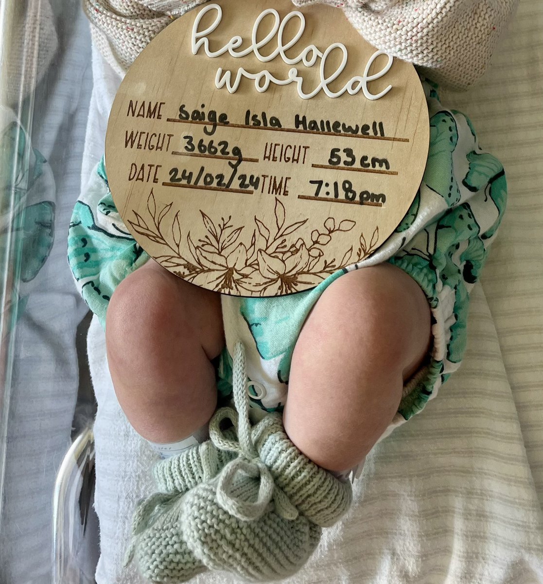 Brad Forrester tweet media