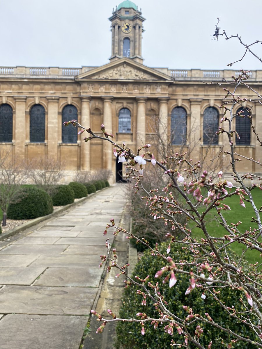 Tiny signs of spring @QueensCollegeOx