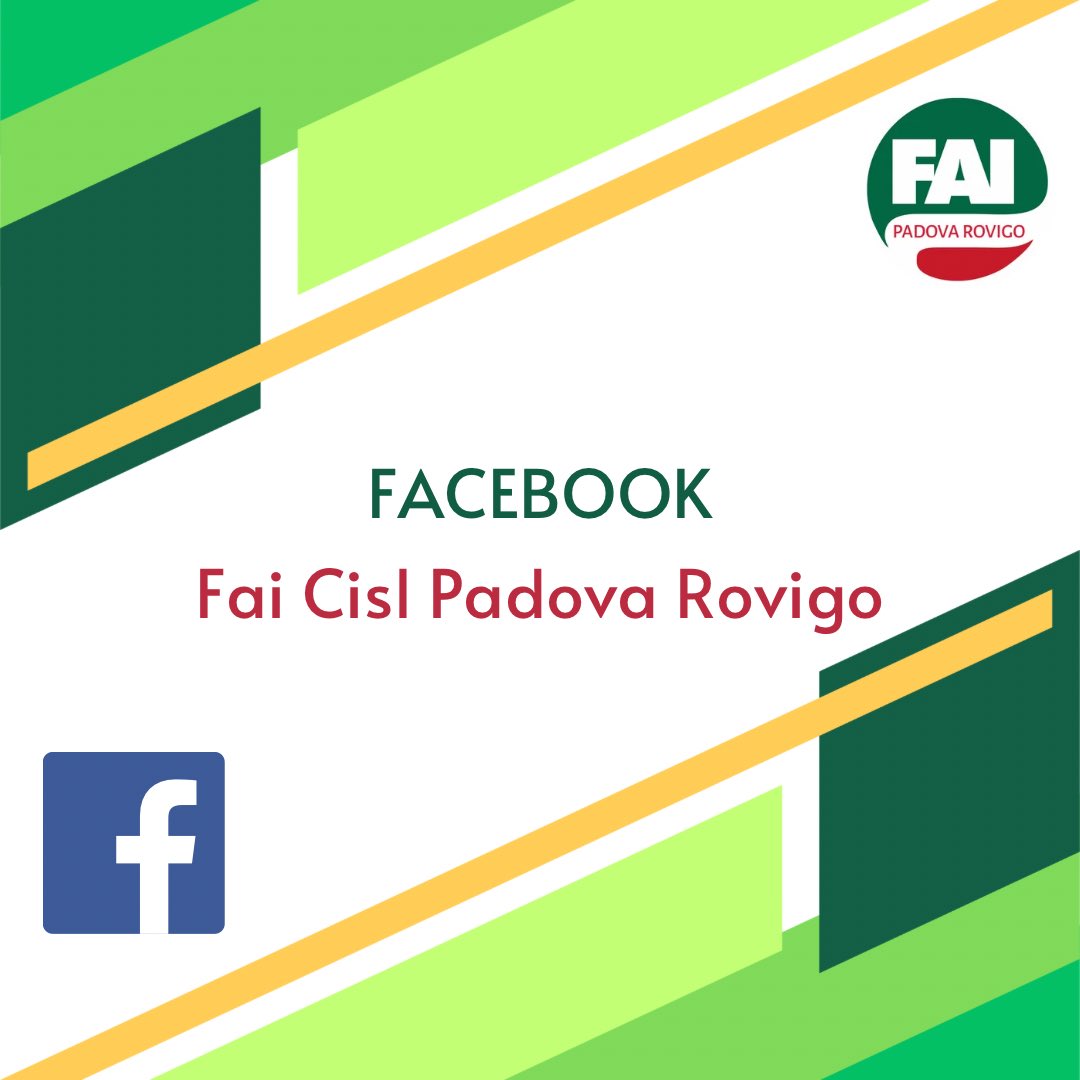 FaiCislPDRO's tweet photo. Fai Cisl Padova Rovigo tutti i nostri contatti. @fai_cisl @FaiCislPDRO @CislNazionale @UsrVeneto @CislPdRo #essercipercambiare #essercisempre #territorio #paese #contatti #cometrovarci #chiama #cisl https://t.co/6YtYMYIVgv