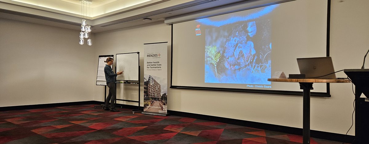 WildImmunity's tweet image. Dr Lazenby from the #SavetheTasmanianDevilProgram gives the history of the #DevilFacialTumourDisease #DFTD and current status in the field.