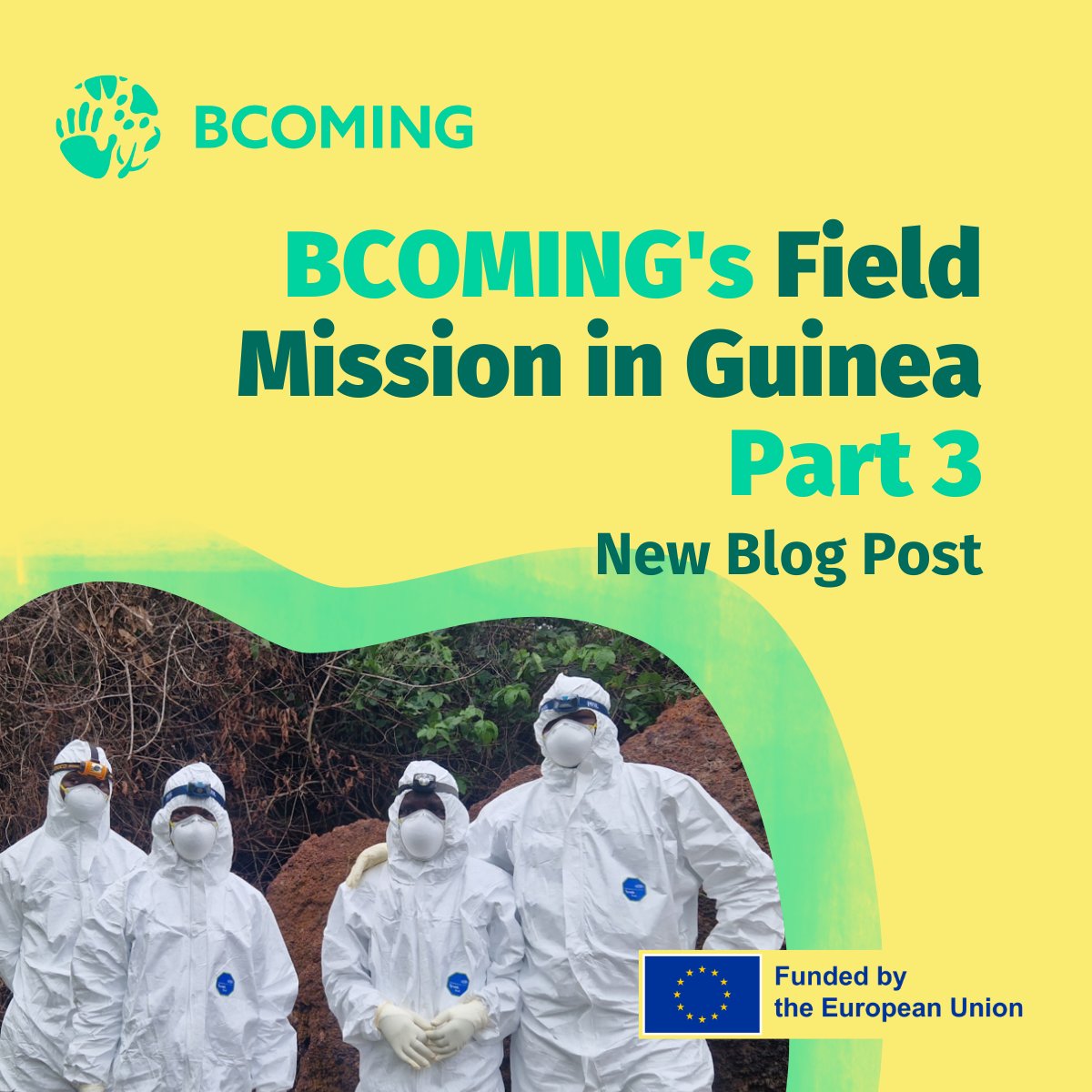 🌿 Our latest blog post on BCOMING's latest field mission in Guinea is now live! 🇬🇳 Read the full blog here: bit.ly/3wAA4Ek Stay tuned for more updates as we continue our research in biodiversity and disease prevention🦇📝 #BCOMING #FieldMission #Guinea #Biodiversity