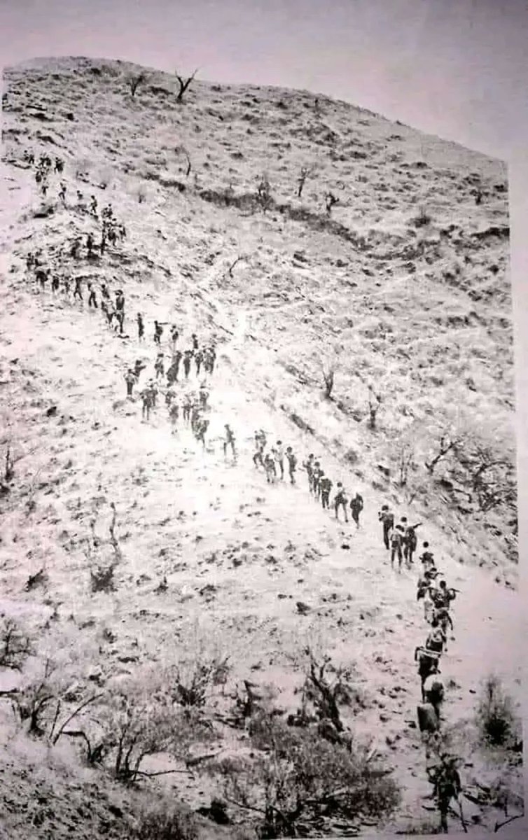 GuleEri's tweet photo. #EritreaMyLove
#EritreaPrevails
#PFDJForEver
#EPLFHistoryForLife
Glory to our beloved martyrs
๐ฃ แแ แปแแฅแซ : แฎแ แปแแฅแซ : แแ
แญ แปแแฅแซ แข
แแแด แฅแแ แจแแฅ แแขแ!!!
๐ฃแแแต แแแแฝ ๐ช๐ท๐ https://t.co/x63xKFwtk1