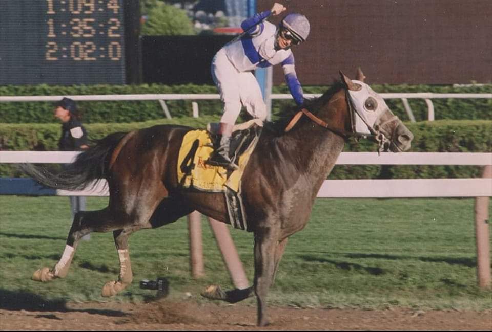 HORSERACING1002's tweet photo. TEN MOST WANTED🇺🇸2000
(DEPUTY COMMANDER - WANTED AGAIN BY CRYMINAL TYPE)
#TenMostWanted https://t.co/blvktsN7Sn