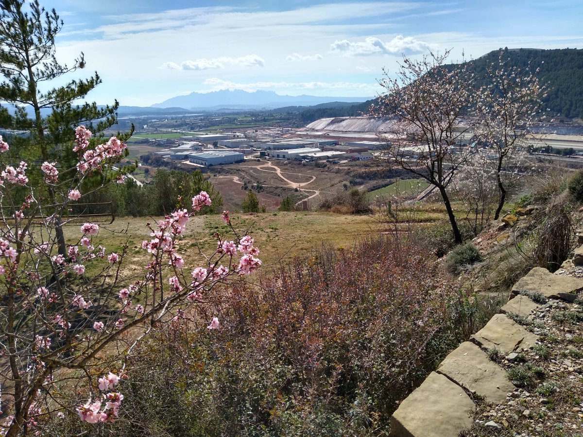 SallentTurisme's tweet photo. - Aquest dissabte 2 de març
- A les 11 h
- Visita guiada al castell i a l'església de St Esteve i St Sebastià
- 📷  Reserves a https://t.co/aixZUIJP6m
@bagesturisme @radiosallent @somsallent @BCNmoltmes @Geoparc @elsplans @consellbages @patrimonigencat @AmicsArtRomanic https://t.co/EZOvuiDDVR