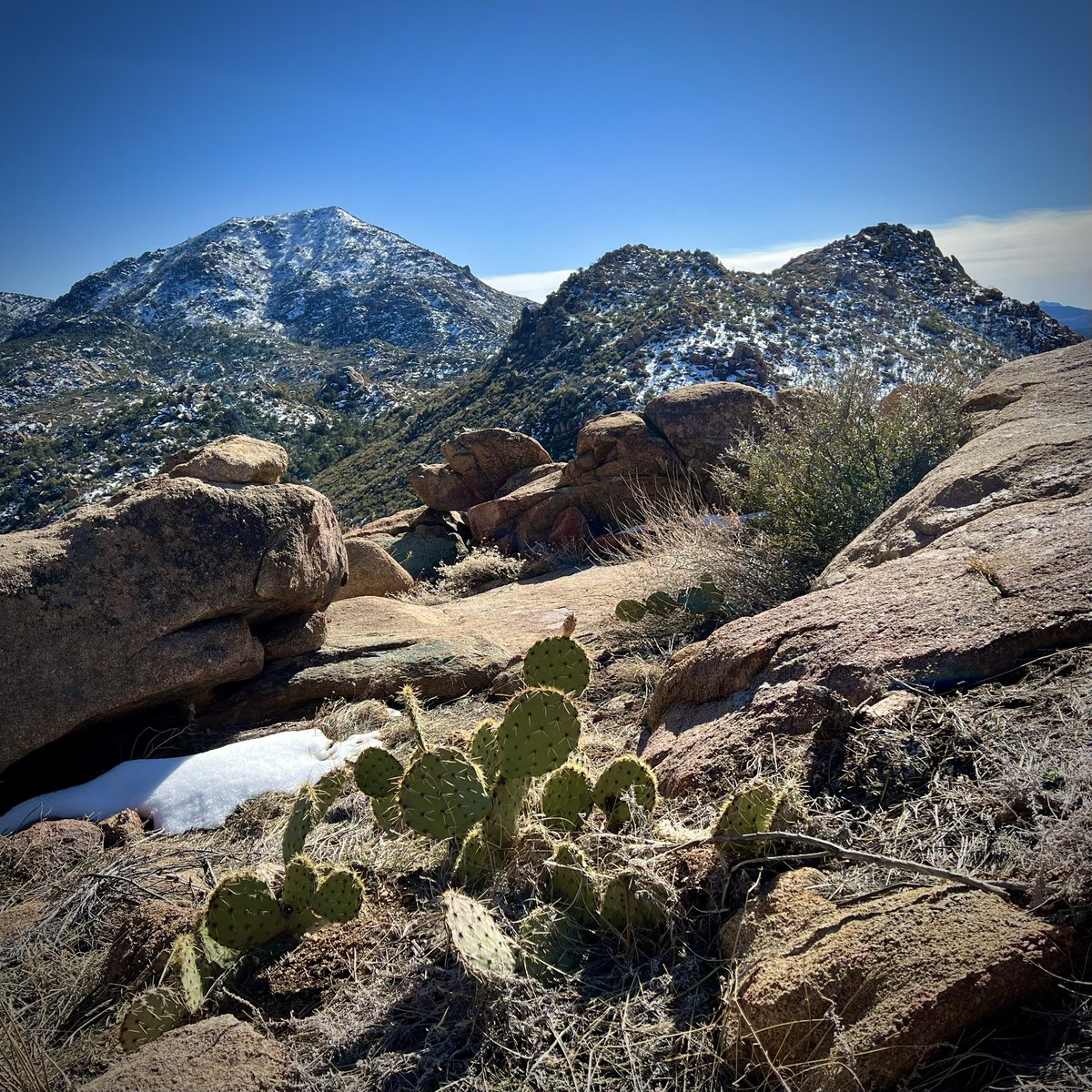 placesense's tweet image. A Confluence of Learning: Ecology, Democracy, and Education — new post at the Regenerative Learning Network regenlearning.org/2024/02/26/a-c…