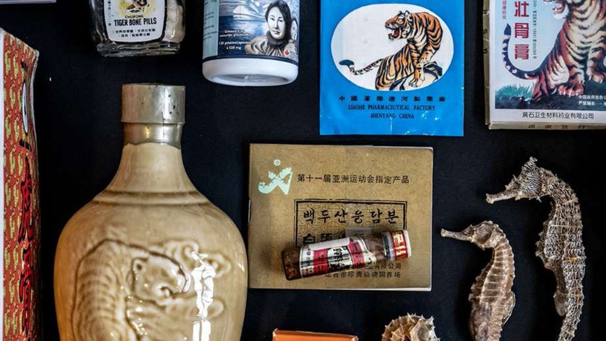 Unveiling the criminal networks behind traditional Chinese Medicine in the Netherlands and the EU. 
bearsinmind.org/en/projecten/u…
#traditionalchinesemedicine #natureconservation #traditionalmedicine #illegaltrade