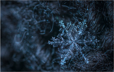 Chilli Challenge  warm-up and start times
sasaeastdistrict.org.uk/blog/item/chil…