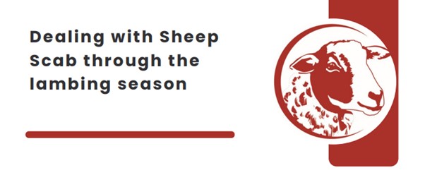 animalhealthni's tweet photo. https://t.co/7lYimZuKF8 https://t.co/Xsws4rgthd