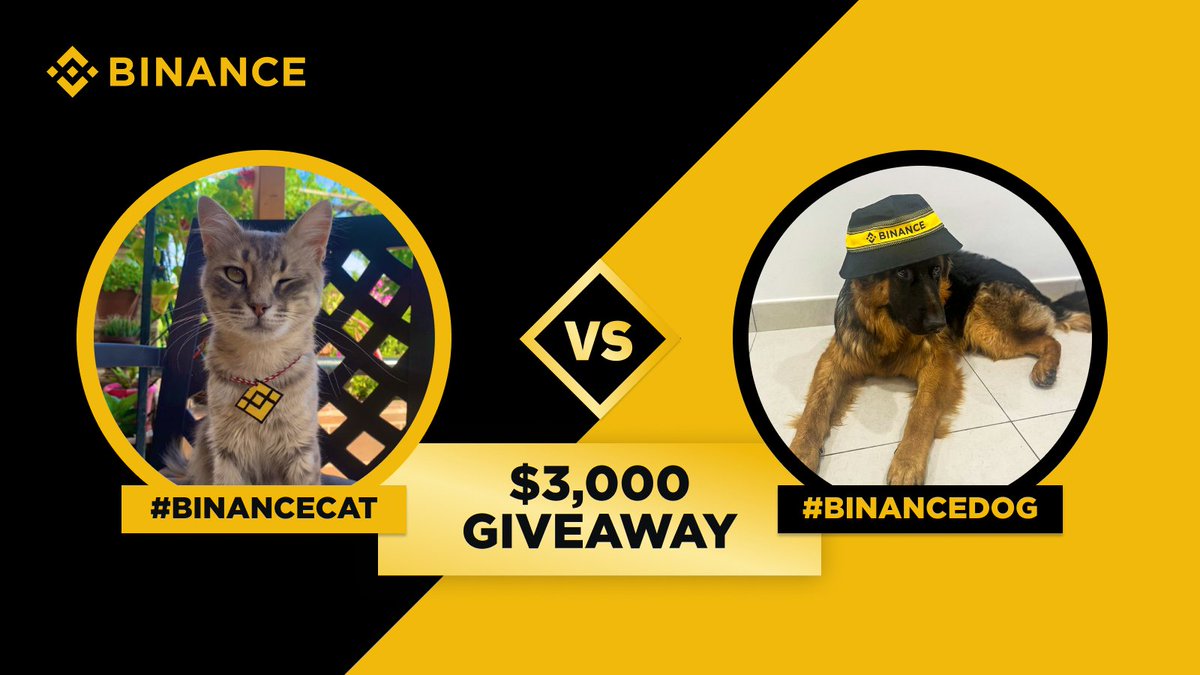 #BinanceCat vs #BinanceDog is back! But this time with larger rewards, where you can bag yourself $800 in #BNB To enter: 🔸 Retweet 🔸 Follow @Binance 🔸 Share photos or videos of your pets with Binance elements using #BinanceCat or #BinanceDog.
