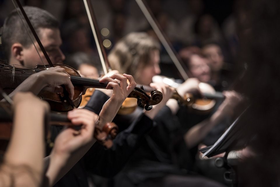 Trustee Leadership Programme (@trusteeleaders) on Twitter photo 🔔 Vacancy: <a href="/SongintheCity/">Song in the City</a> 🔔
Song in the City takes classical music out if its comfort zone to facilitate societal change and is looking for someone with fundraising experience to join its board! 🎼
Email songinthecity@gmail.com to find out more.
📅 6 March 2024 🔔 Vacancy: <a href="/SongintheCity/">Song in the City</a> 🔔
Song in the City takes classical music out if its comfort zone to facilitate societal change and is looking for someone with fundraising experience to join its board! 🎼
Email songinthecity@gmail.com to find out more.
📅 6 March 2024