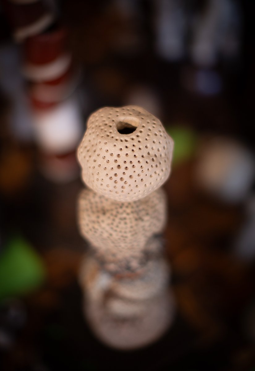 Bethlem_Gallery's tweet image. New audio descriptions of Planet209 Revisited are on our website and free digital guide! Definitely worth a listen whether you&apos;re in the gallery or experiencing the exhibition virtually. Link in bio.
#audioguide @maudsleycharity @maudsleynhs @kentblind @croydonvision @bbgconnects