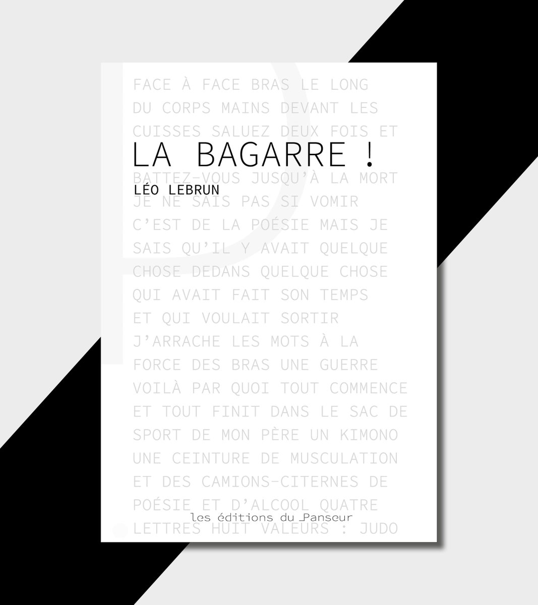 Les éditions du Panseur tweet media