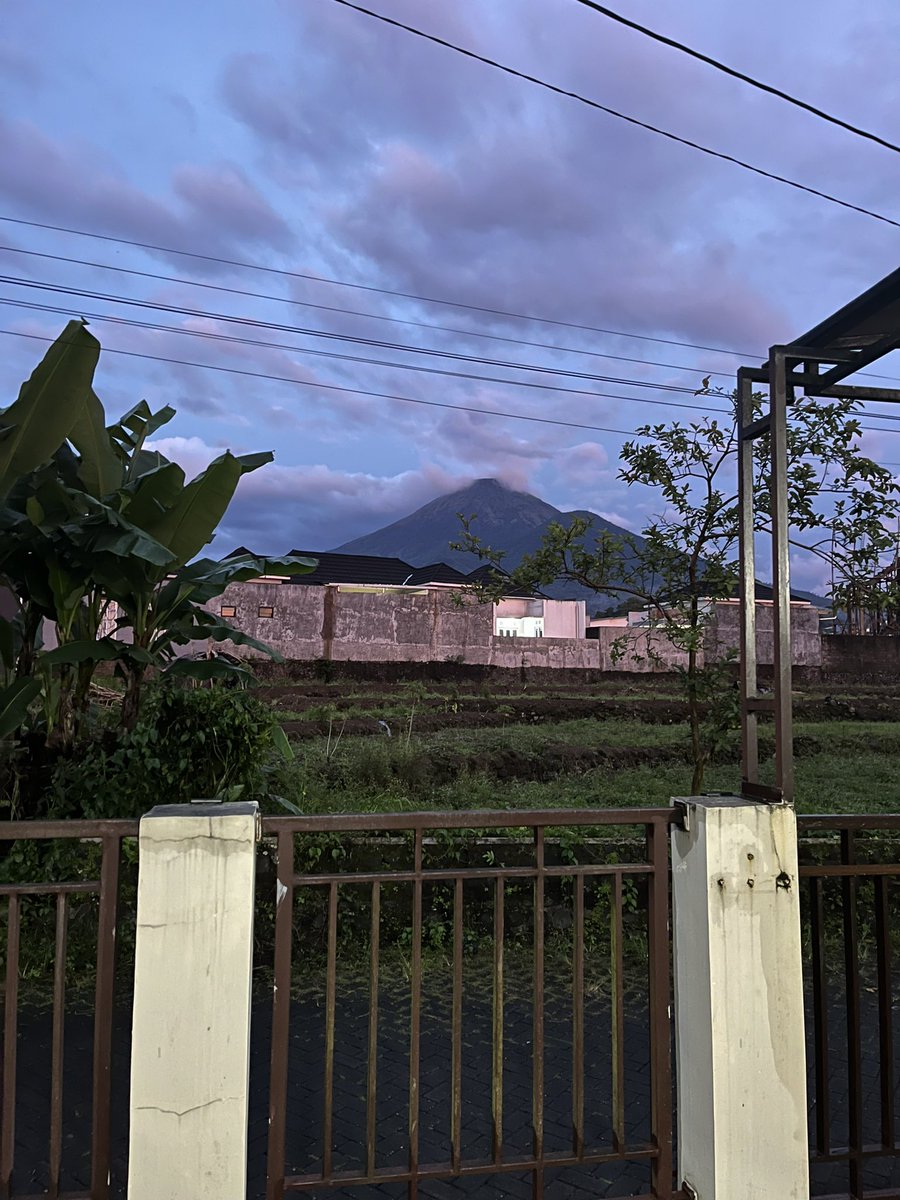 audiarpa tweet picture