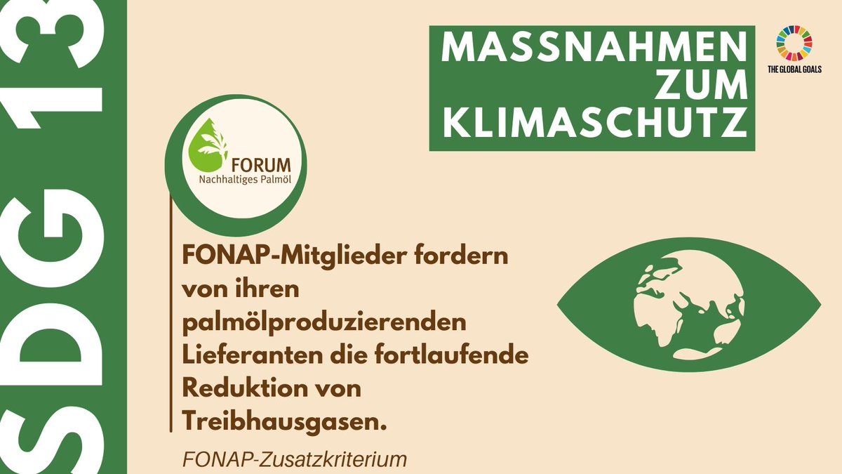 Heute im Fokus: #SDG13: Maßnahmen zum Klimaschutz.

#FONAP-Mitglieder setzen sich dafür ein, Treibhausgasemissionen zu reduzieren und Zertifizierungssysteme in der Palmölproduktion zu verbessern. 

Erfahren Sie mehr👉forumpalmoel.org/selbstverpflic…